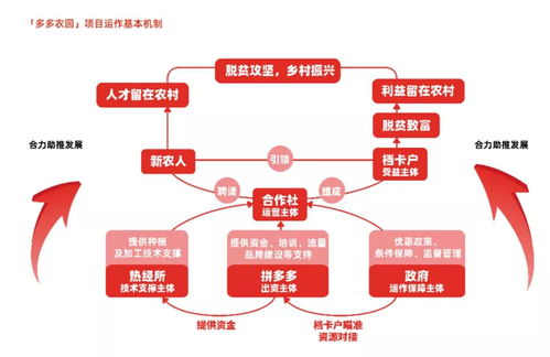 拼多多找到了 新出路 璽承電商資訊